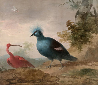 Aert Schouman - Pintade de Numidie et caque  tte noire et Ibis rouge et goura couronn.webp