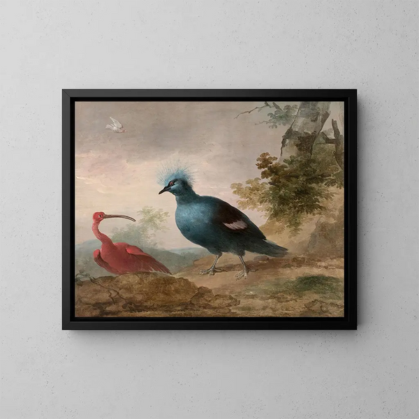 Pintada de Numidia, cacatúa negra, ibis rojo y goura coronado - Aert Schouman — cuadro enmarcado en la pared