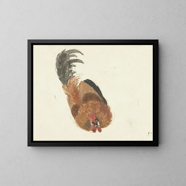 Estudio de un gallo muerto - Aert Schouman — cuadro enmarcado en la pared
