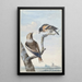 dos pájaros, un picogordo Coccothraustes coccothraustes y un pinzón norteño Fringilla montifringilla - Aert Schouman — cuadro enmarcado en la pared