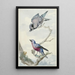 Reproduction of the painting of Two Birds: A Blue Jay and a Purple-breasted Cotinga - Aert Schouman