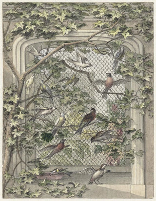 Aert Schouman - Volire met veertien vogels.webp