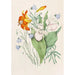 Reproducción del cuadro Lis Orange Sauvage Campanula Canadiense Zapato de Venus Resplandeciente - Agnes Fitzgibbon