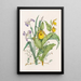 Sabots de Vénus Amarillos Grande Iris Azul Pequeña Arándano - Agnes Fitzgibbon — cuadro enmarcado en la pared