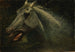 A wild stallion, original sketch for The Last of the Bison - Albert Bierstadt — artwork view