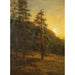 Secuoyas de California - Albert Bierstadt — vista de la obra
