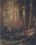 Sequoias gigantes de California - Albert Bierstadt — vista de la obra