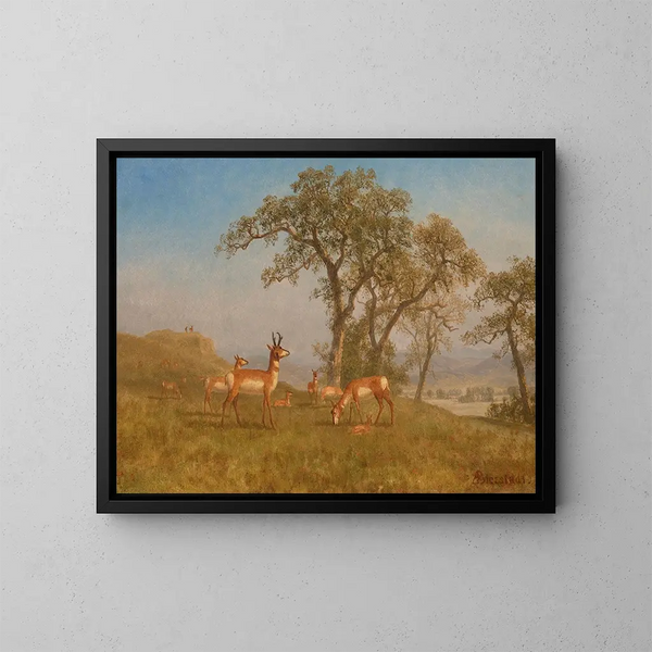 Antelope Grazing - Albert Bierstadt — framed artwork on a wall