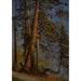 Park in Vancouver - Albert Bierstadt — artwork view