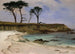 Anse marine - Albert Bierstadt — artwork view