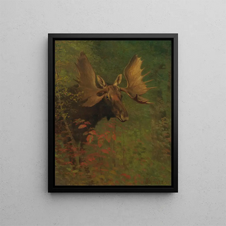 Albert Bierstadt - Study Of A Moose.webp