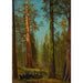 Reproduction of the painting The Grizzly Giant Sequoia Mariposa Grove California - Albert Bierstadt