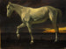 Caballo blanco y atardecer - Albert Bierstadt — vista de la obra