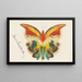 Mariposa amarilla - Albert Bierstadt — cuadro enmarcado en la pared