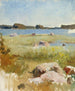 Paisaje del archipiélago inacabado - Albert Edelfelt — vista de la obra