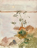 Costa junto a la luna llena - Albert Edelfelt — vista de la obra
