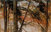 Study for Porvoo from Nsinmki Hill - Albert Edelfelt — artwork view