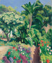 El jardín florido - Albert Marquet — vista de la obra