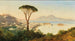Vista de la bahía de Nápoles - Albert Zimmermann — vista de la obra