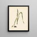Study of Iris with caterpillar under a cocoon and spun caterpillar - Albertus Steenbergen — framed artwork on a wall