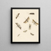 Study Sheet with Eight Moths - Albertus Steenbergen — framed artwork on a wall