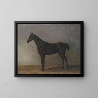 Albrecht Adam - Brauner Wallach.webp