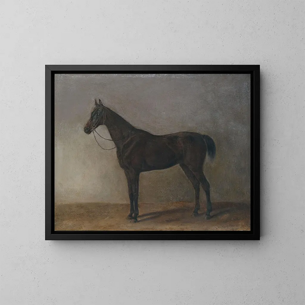 Caballo gris - Albrecht Adam — cuadro enmarcado en la pared
