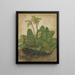 Touffe de primevères - Albrecht Dürer — framed artwork on a wall