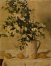 Flores y limones - Albric Coppieters — vista de la obra