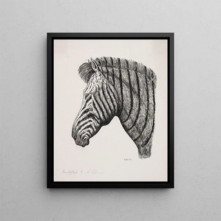 Alexander Blom - Hoved af en Zebra.webp