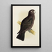 Parrot vasa - Alexander Francis Lydon — framed artwork on a wall