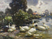 Huit canards au bord de l'eau - Alexander Koester — artwork view