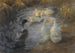 Patos entre juncos en un estanque - Alexander Koester — vista de la obra