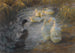 Patos entre juncos en un estanque - Alexander Koester — vista de la obra