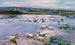 Patos junto al lago - Alexander Koester — vista de la obra
