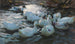 Eleven Ducks in the Water - Alexander Koester — artwork view