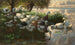 Patos junto al lago - Alexander Koester — vista de la obra