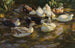 Patos en el estanque, Patos en el arroyo - Alexander Koester — vista de la obra