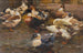 Canards devant l'étable - Alexander Koester — artwork view