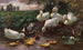 pato con patos y patitos junto al lago - Alexander Koester — vista de la obra