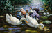 Cinco patos - Alexander Koester — vista de la obra