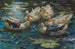 Cinq canards colorés dans l'eau bleue des nénuphars - Alexander Koester — artwork view