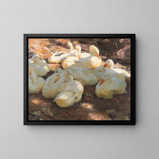 Alexander Koester - Liegende Enten  Licht und Schatten.webp