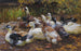 Mis patos, once patos junto al agua - Alexander Koester — vista de la obra