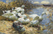 Sept patos junto al agua - Alexander Koester — vista de la obra