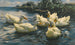 Six Canards - Alexander Koester — artwork view