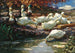 Doce patos en la fuente - Alexander Koester — vista de la obra