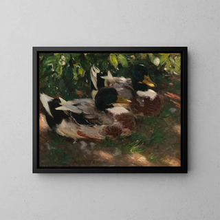 Alexander Koester - Zwei Erpel auf dem Wasser.webp