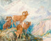 Mouflon des Big Horn - Alexander Phimister Proctor — artwork view