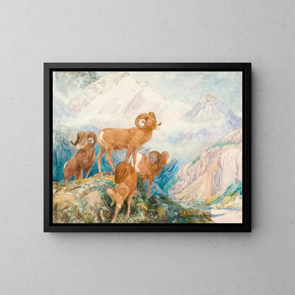 Mouflon des Big Horn - Alexander Phimister Proctor — framed artwork on a wall